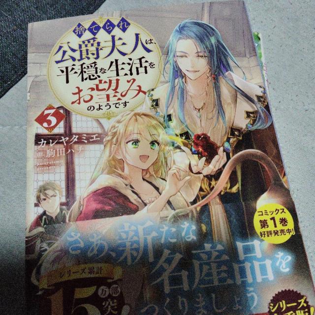 �̂Ă����ݕv�l�͕����Ȑ��������]�݂̂悤�ł��B  �� �{/�G���� 