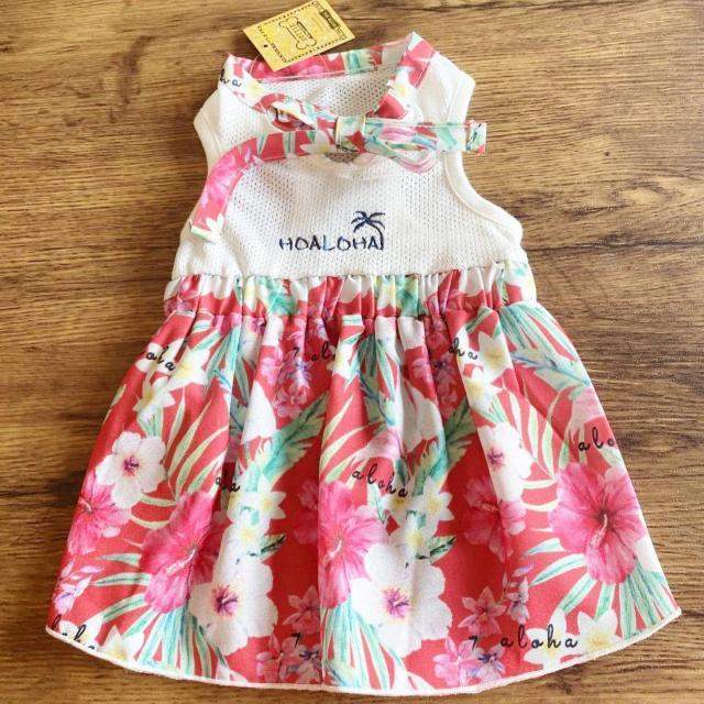 [����] PET PARADISE �A���n�������s�[�X 