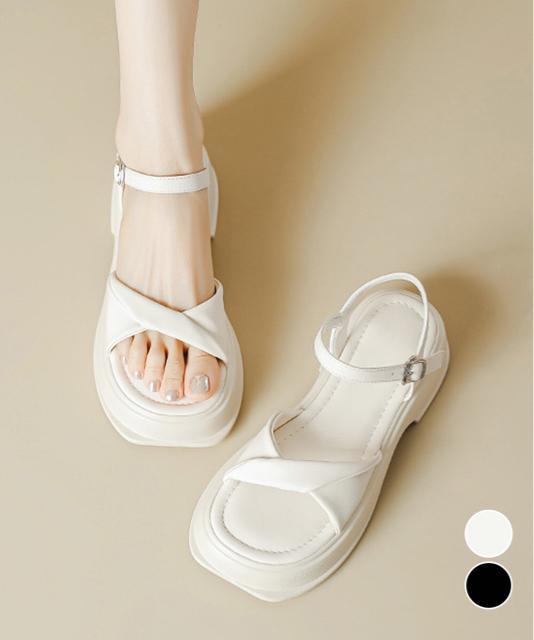  Vi T_ T}[T_ fB[X   t@bV 