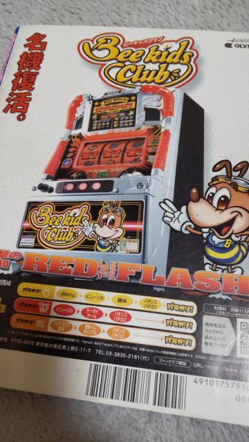 �p�`�X���K���K�C�h�@2007�N10���� �� �z�r�[�� 