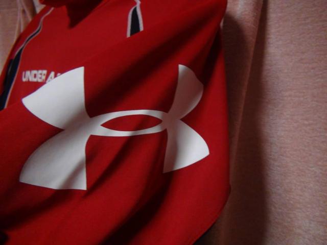 UNDER ARMOUR アンダーアーマー 長袖スポーツウェア(L) !。 < 女性ファッション  UNDER ARMOUR アンダーアーマー 長袖スポーツウェア(L) !。 < 女性ファッションの