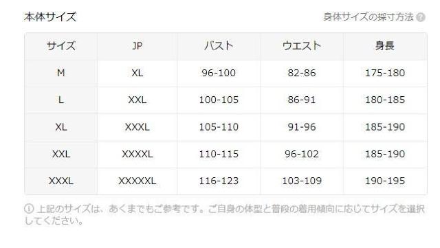 Xi1190~Yg[eLmJ[fBK - 2025NVX^C7 tr`TCYli{TCYwkj