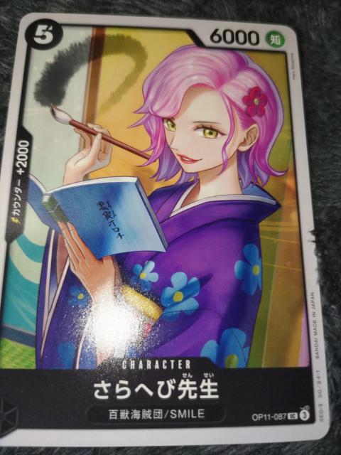 s[XJ[hւѐ搶_̌   g[fBOJ[h 