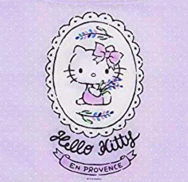 ハローキティ エコバッグ HELLO KITTY ショッピングバック スケーター サイズは写真9に記載 トートバッグ < おもちゃ  ハローキティ エコバッグ HELLO KITTY ショッピングバック スケーター サイズは写真9に記載 トートバッグ < おもちゃの