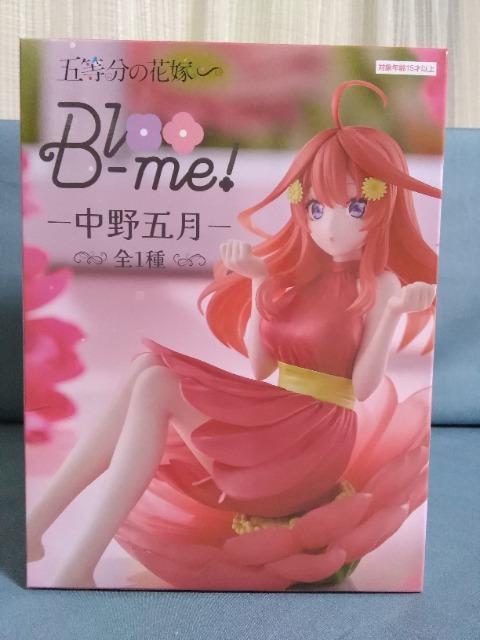 TVXyVuܓ̉ԉŁvBloo[me! ܌ 