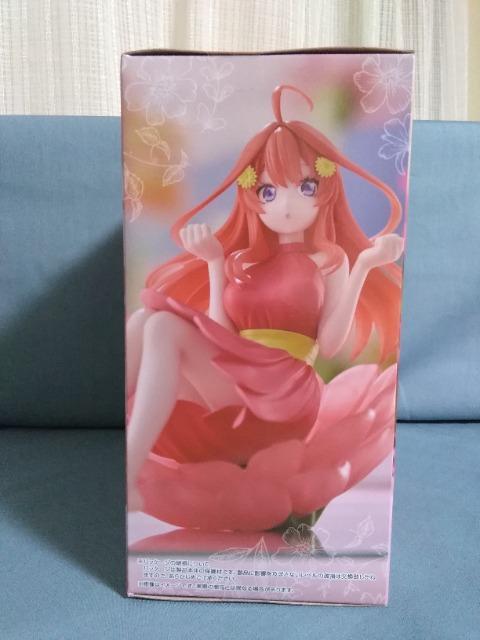 TVXyVuܓ̉ԉŁvBloo[me! ܌