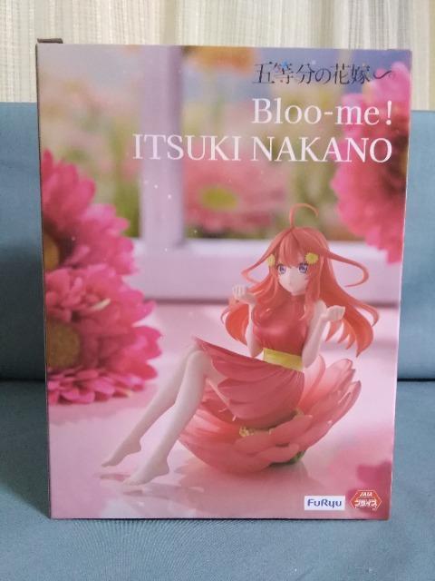 TVXyVuܓ̉ԉŁvBloo[me! ܌