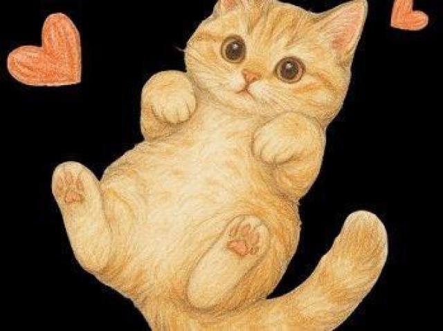 ハイクオリティー Tシャツ猫 ハート かわいい < 女性ファッション ハイクオリティー Tシャツ猫 ハート かわいい < 女性ファッションの