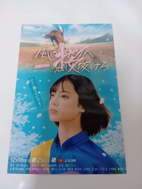 NHK 土曜ドラマ 「風の向こうへ駆け抜けろ」 主演 平手友梨奈写真 < タレントグッズ NHK 土曜ドラマ 「風の向こうへ駆け抜けろ」 主演 平手友梨奈写真 < タレントグッズの