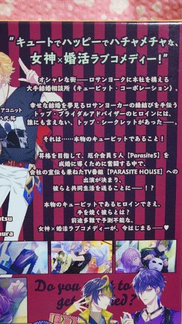 キューピットパラサイト(限定版) < ゲーム本体/ソフト キューピットパラサイト(限定版) < ゲーム本体/ソフトの