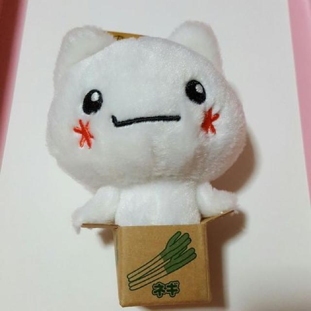 Vĩ}XRbg{[`F[}XRbgzCg 