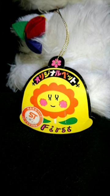 Vi A ag 炢 ^kL ʂ t@V[   