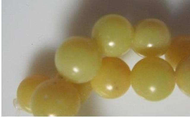 �V�R�΁��������X�g�[���U���������A �� �y�b�g/��|/���|�� 