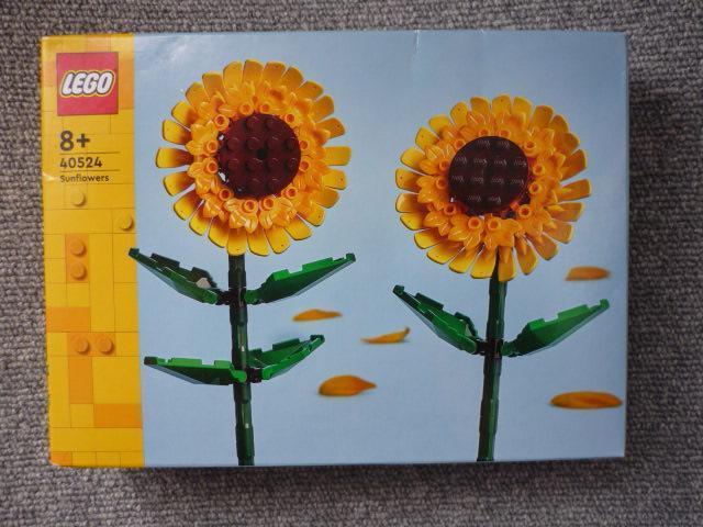 LEGO�u40524�Ђ܂��vT41  �� ��������� 