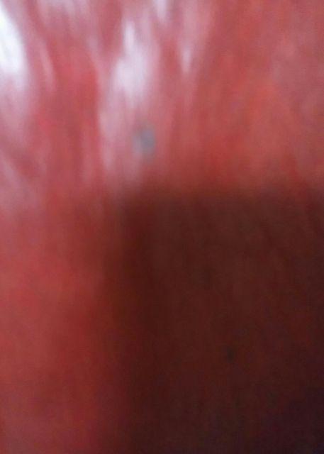 ~X`䒅 U[p[J[  jt@bV 