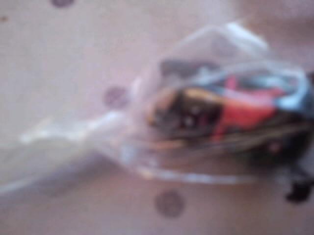 夏目友人帳 黒ニャンコ先生フィギュア < アニメ/コミック/キャラクター  夏目友人帳 黒ニャンコ先生フィギュア < アニメ/コミック/キャラクターの