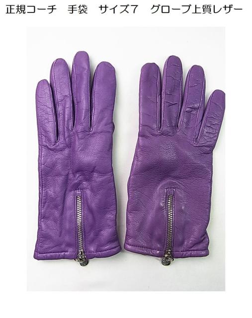 500~X^KiR[`COACH@U[JV~A@܁@fB[X@TCYViTLʁj   uh 