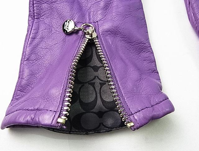 500~X^KiR[`COACH@U[JV~A@܁@fB[X@TCYViTLʁj  uh 