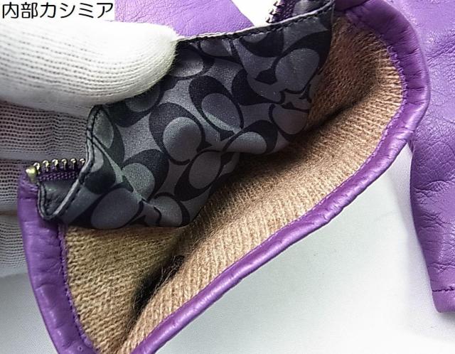 500~X^KiR[`COACH@U[JV~A@܁@fB[X@TCYViTLʁj  uh 