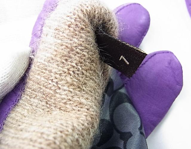 500~X^KiR[`COACH@U[JV~A@܁@fB[X@TCYViTLʁj  uh 