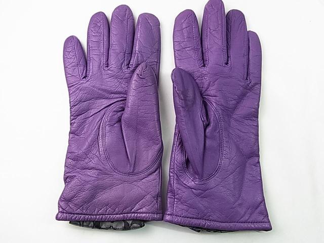 500~X^KiR[`COACH@U[JV~A@܁@fB[X@TCYViTLʁj  uh 