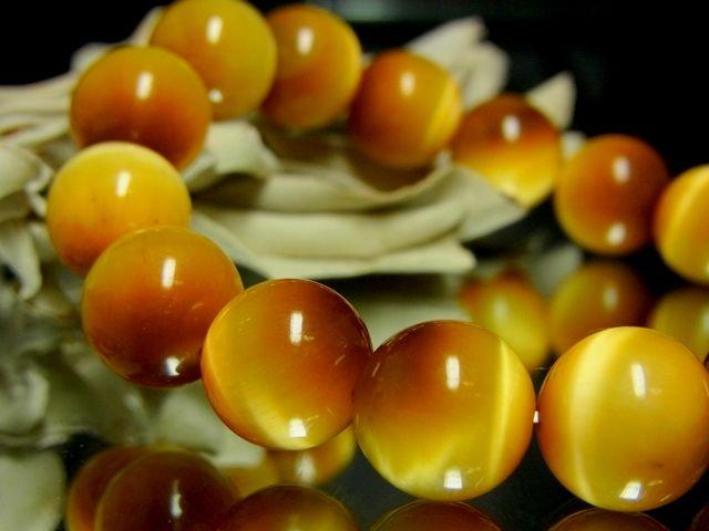 S[f^CK[ACՖڐ΁12~  jANZT[/v 