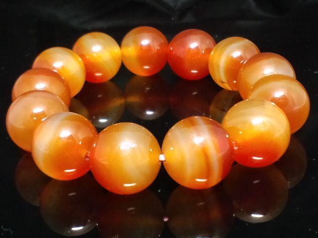 �V�R���J�[�l���A��16�~��������  �� �j���A�N�Z�T���[/���v�� 