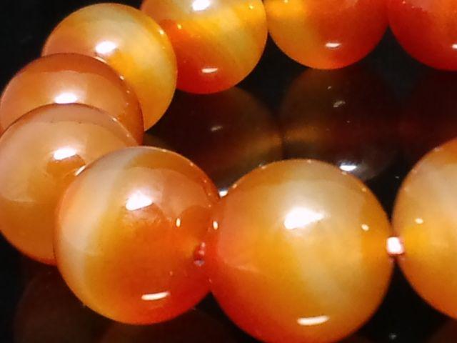 �V�R���J�[�l���A��16�~�������� �� �j���A�N�Z�T���[/���v�� 