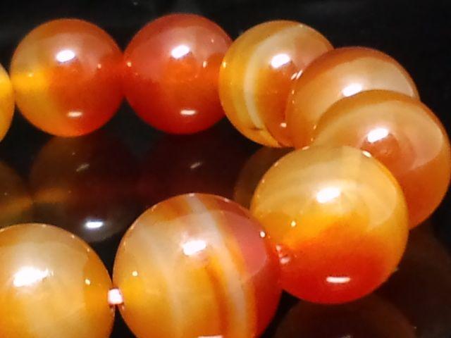 �V�R���J�[�l���A��16�~�������� �� �j���A�N�Z�T���[/���v�� 