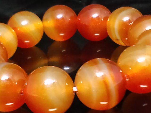 �V�R���J�[�l���A��16�~�������� �� �j���A�N�Z�T���[/���v�� 