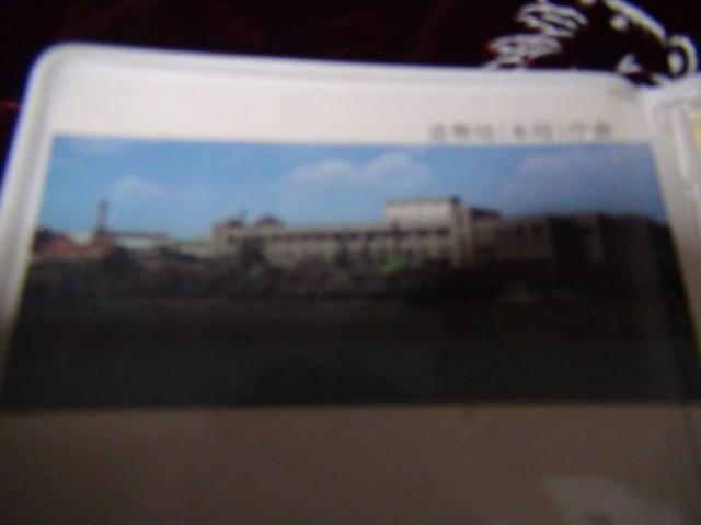 a50N(1975N)  ݕ ~gZbg  CN gpi !!  zr[ 