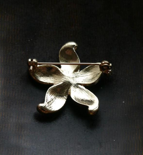 ViAeB[N炫Xg[ tFCNp[qgfCu[`  ANZT[/v 