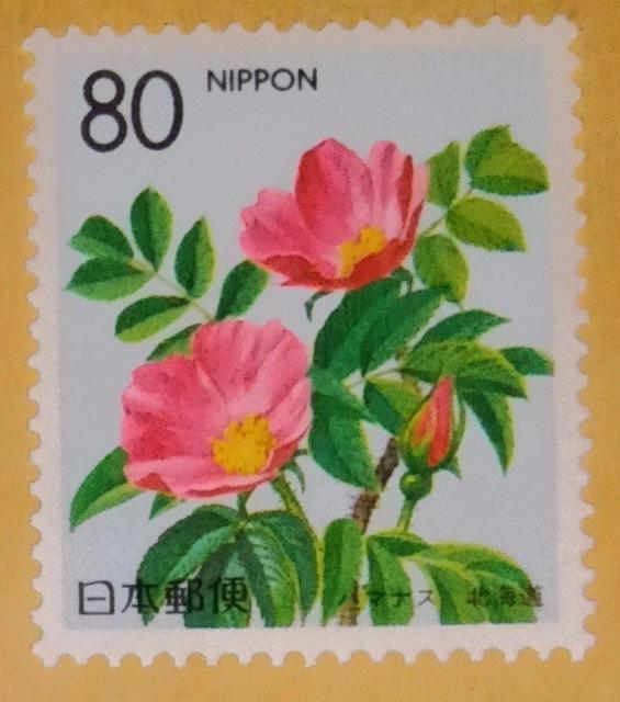 ��80�~�؎�~1�����@���L�O�؎聙�@���n�}�i�X�@�k�C���� 