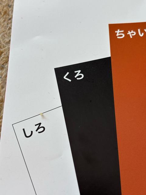 色画用紙/おまけ付き < インテリア/ライフ  色画用紙/おまけ付き < インテリア/ライフの