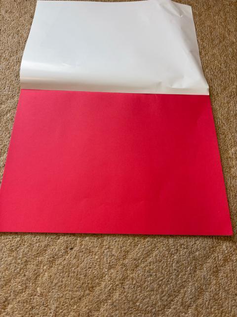 色画用紙/おまけ付き < インテリア/ライフ  色画用紙/おまけ付き < インテリア/ライフの