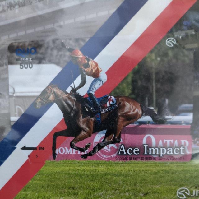 �M����܃G�[�X�C���p�N�g�@QUO�J�[�h500  �� �`�P�b�g/������ 