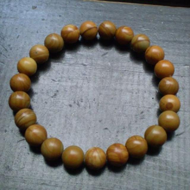 8~ʁ@]؁EOCjlXuXbg   ANZT[/v 