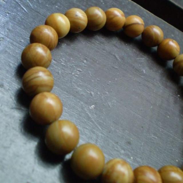 8~ʁ@]؁EOCjlXuXbg  ANZT[/v 