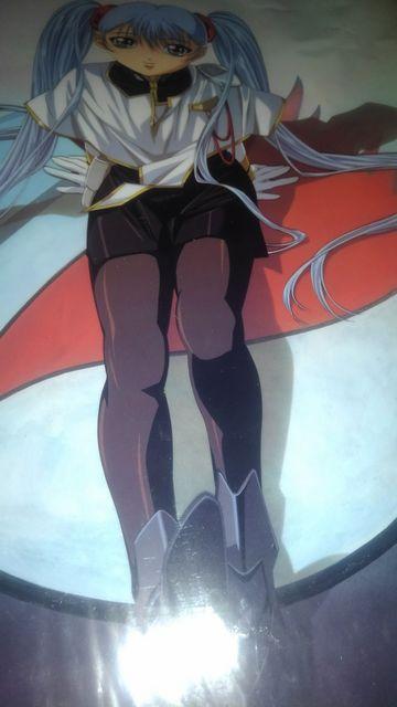 ナデシコ クリアポスター ホシノルリ Sランク  < ホビー  ナデシコ クリアポスター ホシノルリ Sランク  < ホビーの