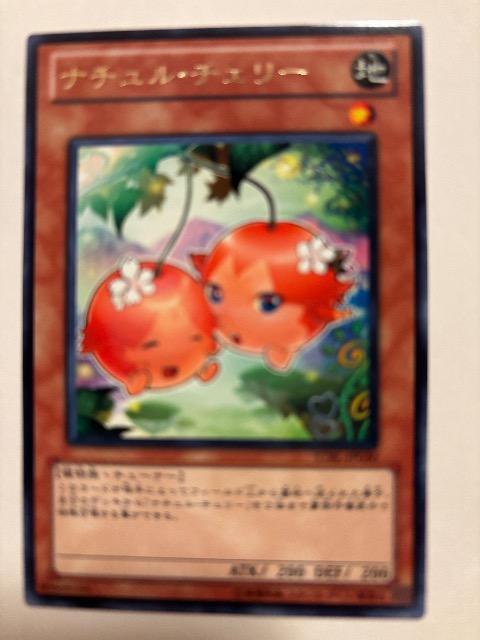 �V�Y���y�n�E�i�`�����`�F���[�z  �� �g���[�f�B���O�J�[�h�� 