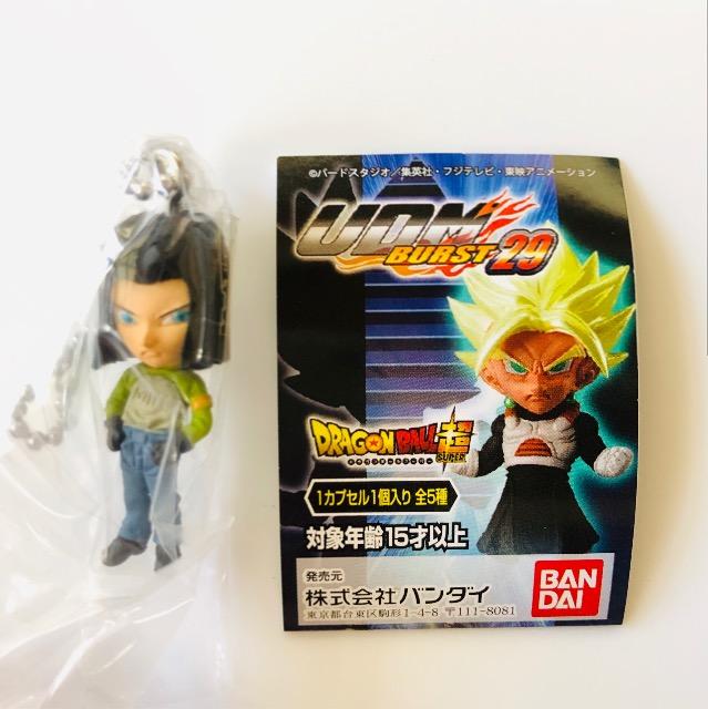 hS{[ UDM BURST29 ll17   Aj/R~bN/LN^[ 