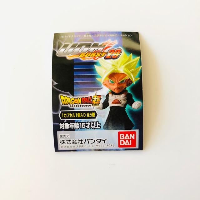 hS{[ UDM BURST29 ll17  Aj/R~bN/LN^[ 