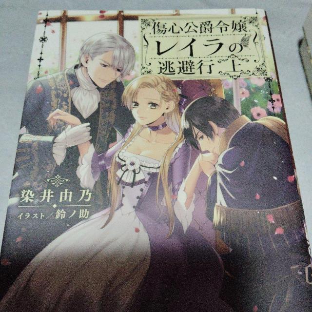 ���S���ݗߏ샌�C���̓����s ��  �� �{/�G���� 