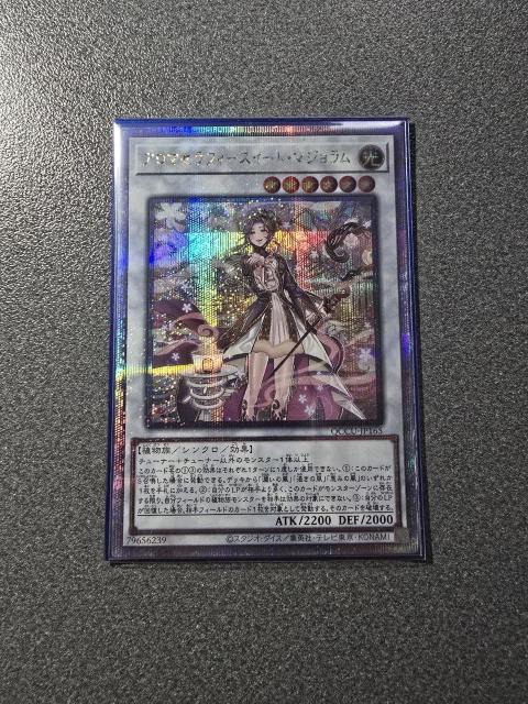遊戯王 アロマセラフィースイート・マジョラム QCSE < トレーディングカード 遊戯王 アロマセラフィースイート・マジョラム QCSE < トレーディングカードの