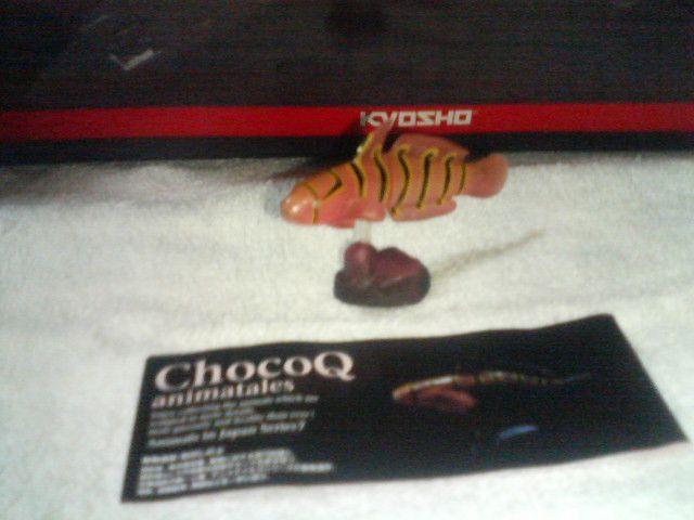 �`���RQ  �A�j�}���e�C���Y7  �L�k�o��  �� �z�r�[�� 