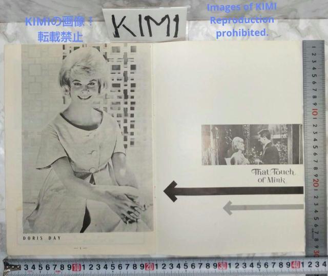 レア 映画パンフレット ミンクの手ざわり That Touch of Mink < ホビー  レア 映画パンフレット ミンクの手ざわり That Touch of Mink < ホビーの