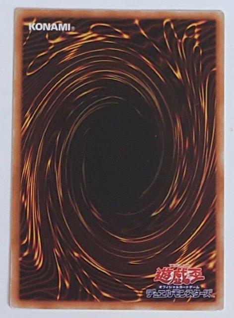 Õi@VY@fGX^[Y@AP~[ETCN@C  g[fBOJ[h 