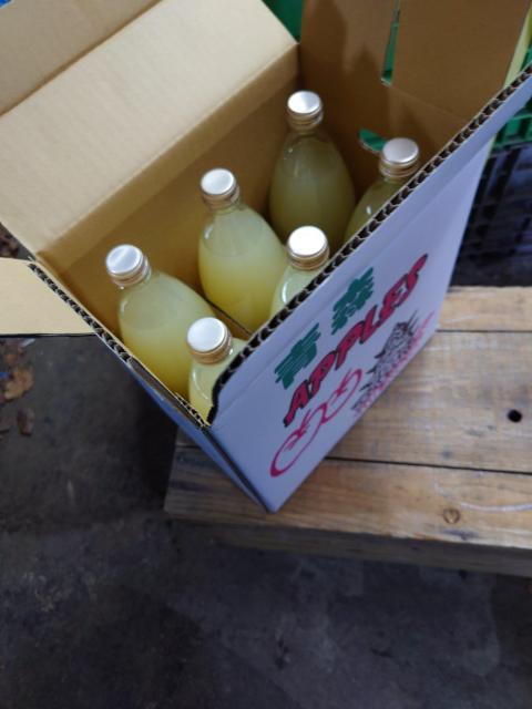 X񂲁@T100@񂲃W[X@1LU{@  O/hN 