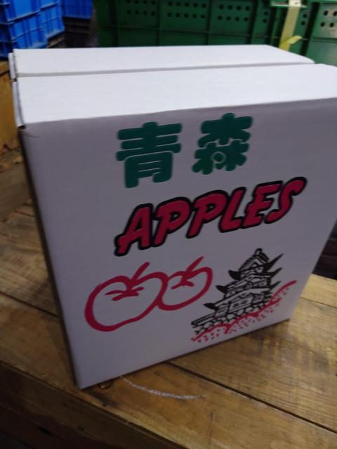 X񂲁@T100@񂲃W[X@1LU{@  O/hN 