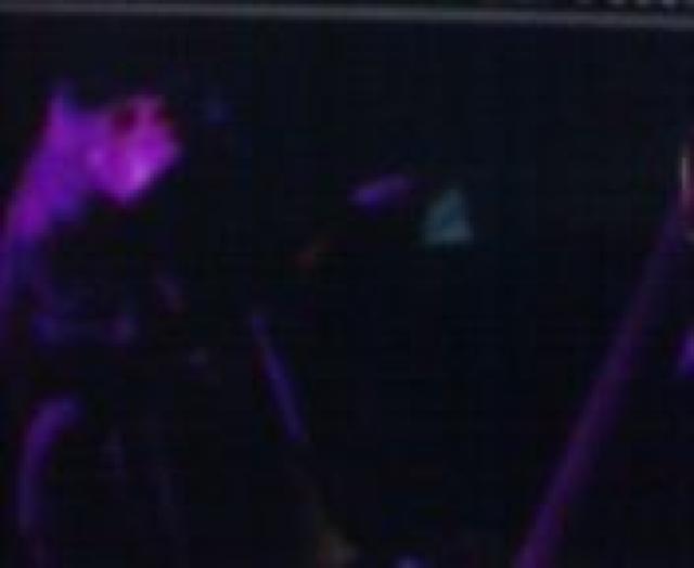 dir en grey���O�s�����J�t2009.9.9/Zepp���� �� �^�����g�O�b�Y�� 